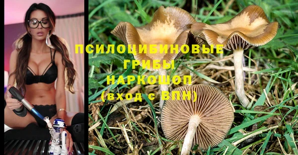 меф Алексин